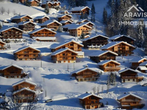 Refuge F5: Bel appartement proche pistes! - FR-1-391-107